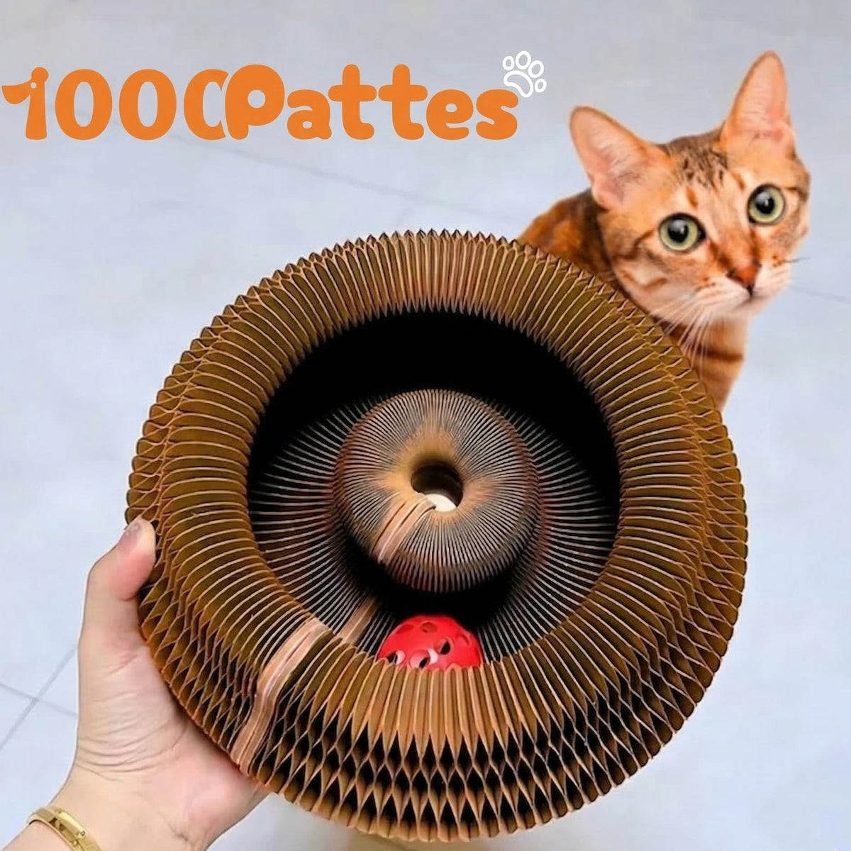 PatSpin™ - Griffoir interactif pour chats